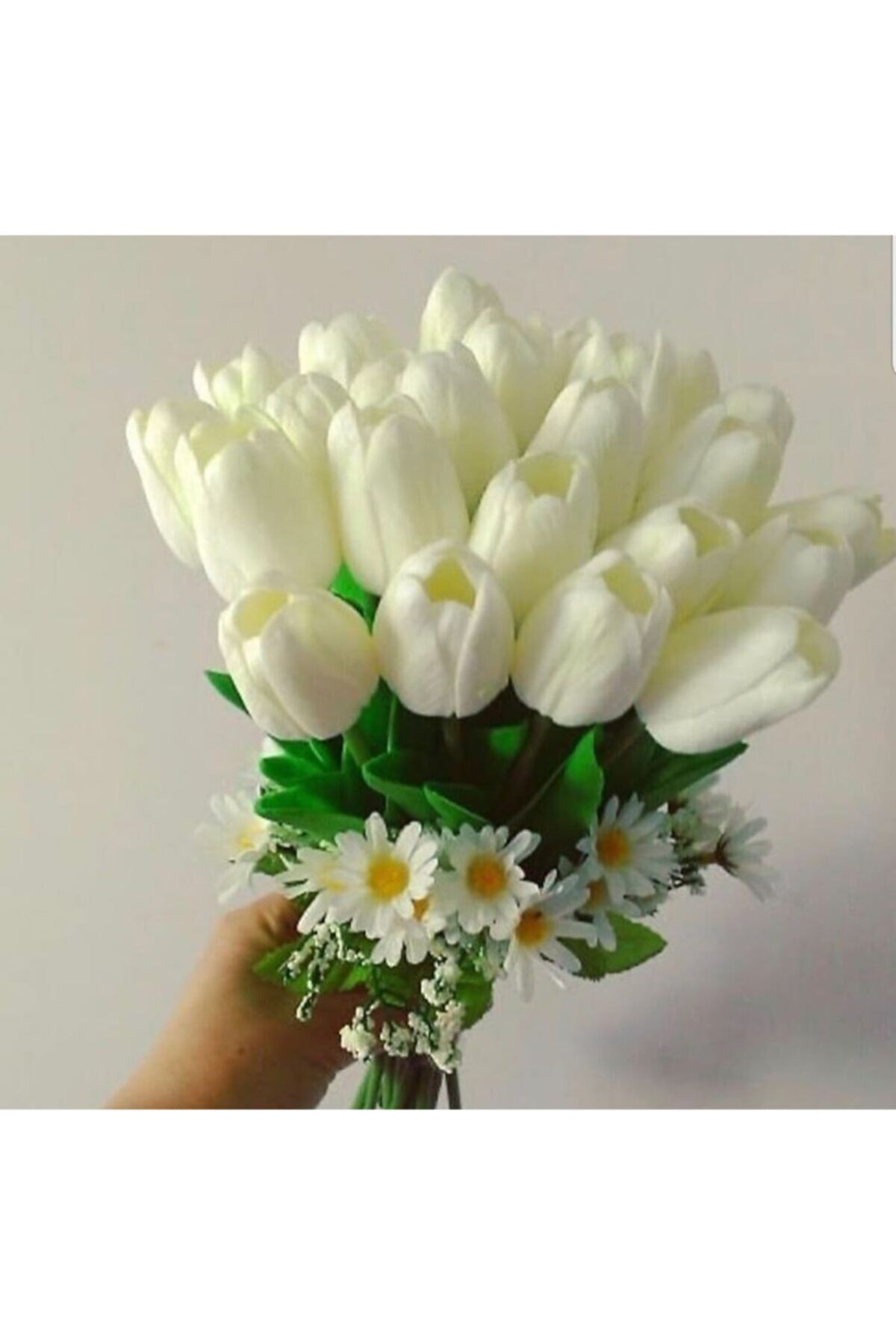 Islak Lale Gelin Eli Çiçeği