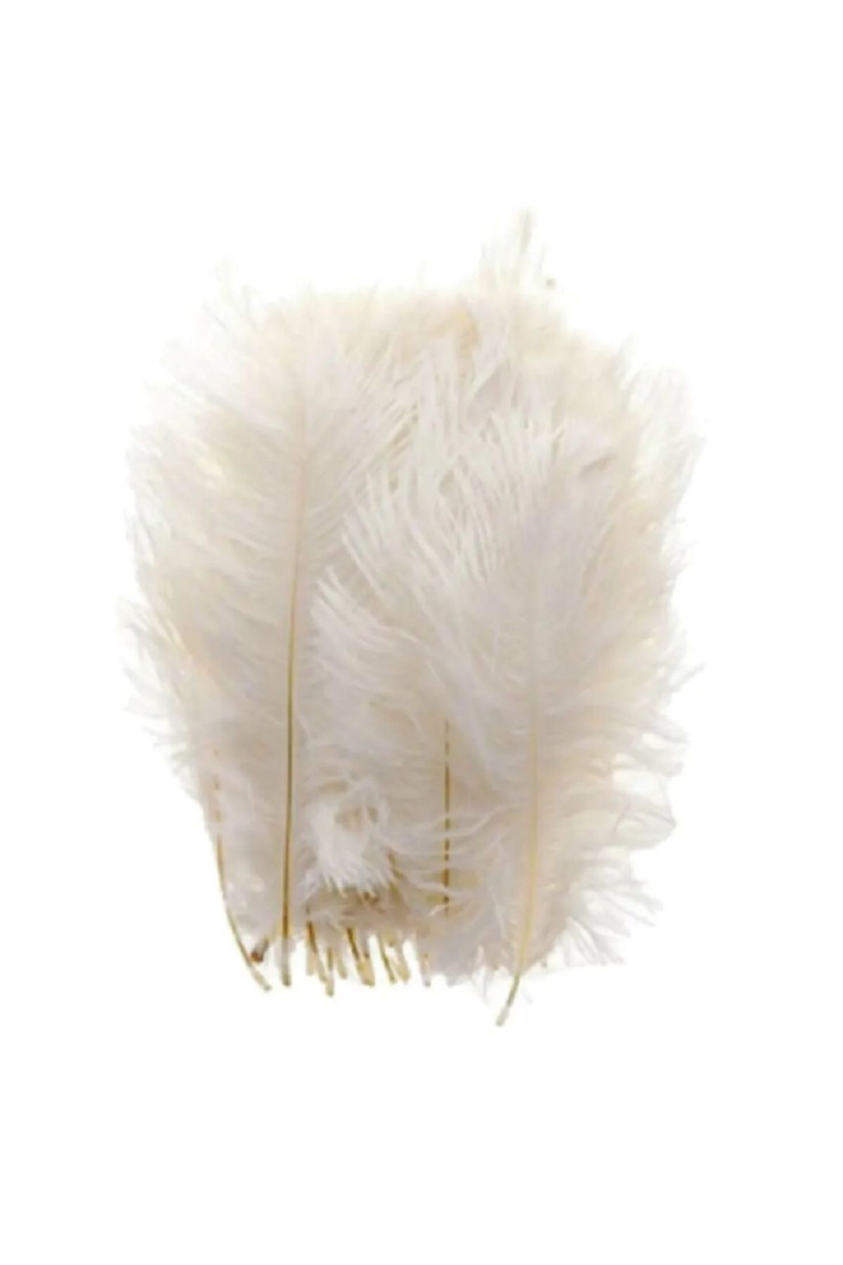 25 Adet Kuş Tüyü Nikah Şekeri Nişan Yelpaze Süsleme Malzemesi Kırık Beyaz