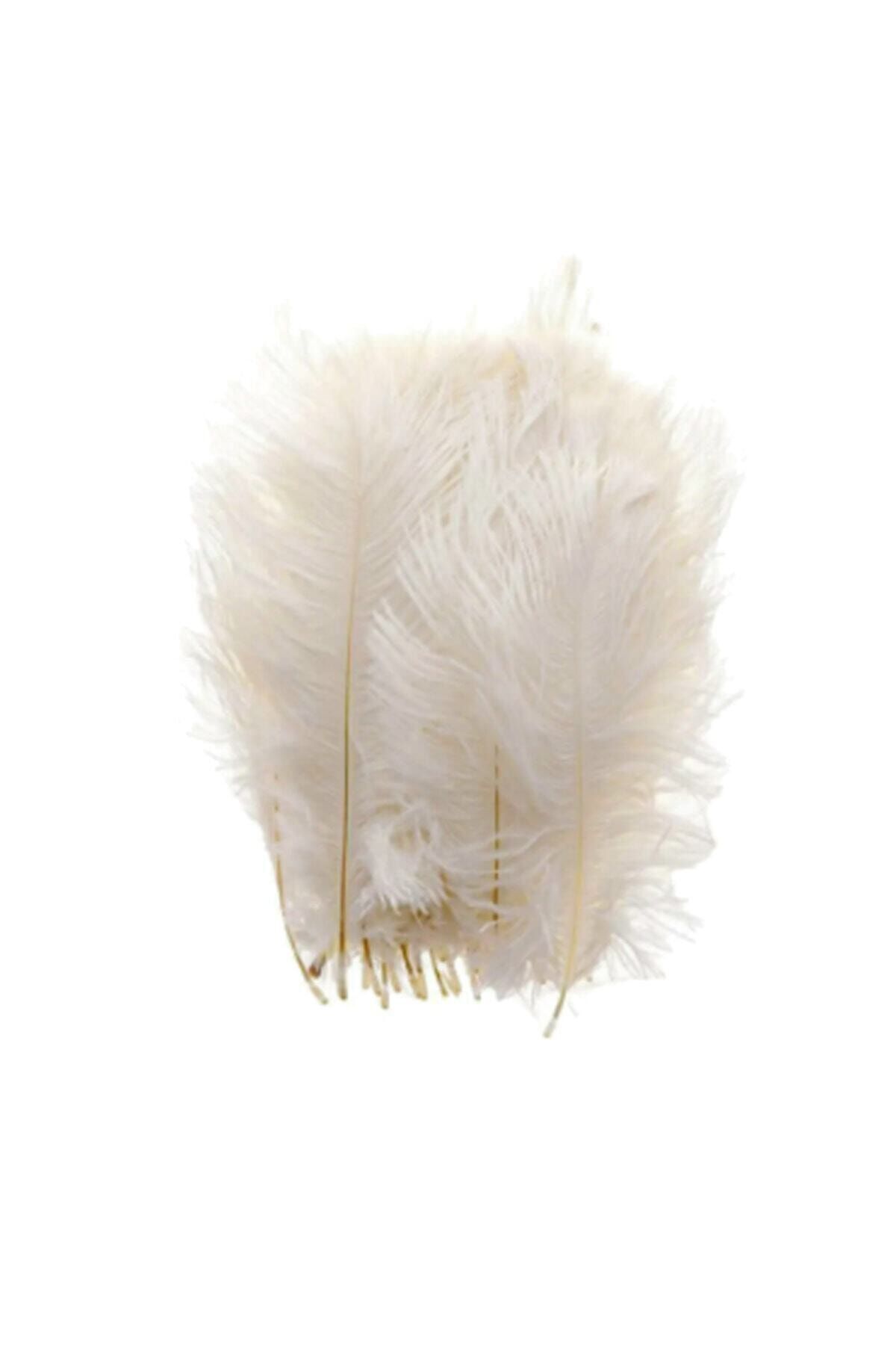 100 Adet Kuş Tüyü Nikah Şekeri Nişan Yelpaze Süsleme Malzemesi Krem