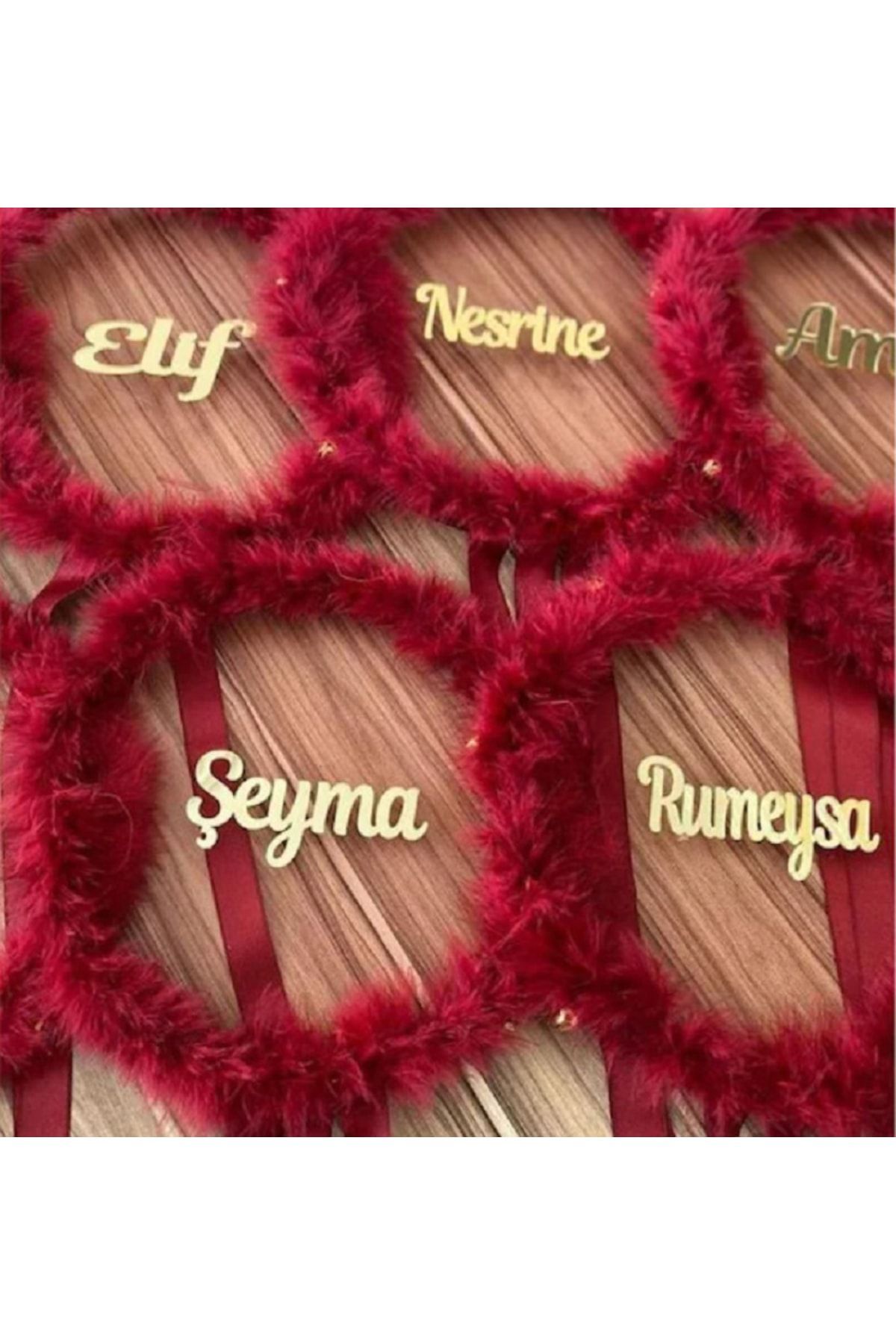 Isme Özel Tüylü Gelin Tefi Vurmalı Çalgı Müzik Aleti Plexi Yazılı