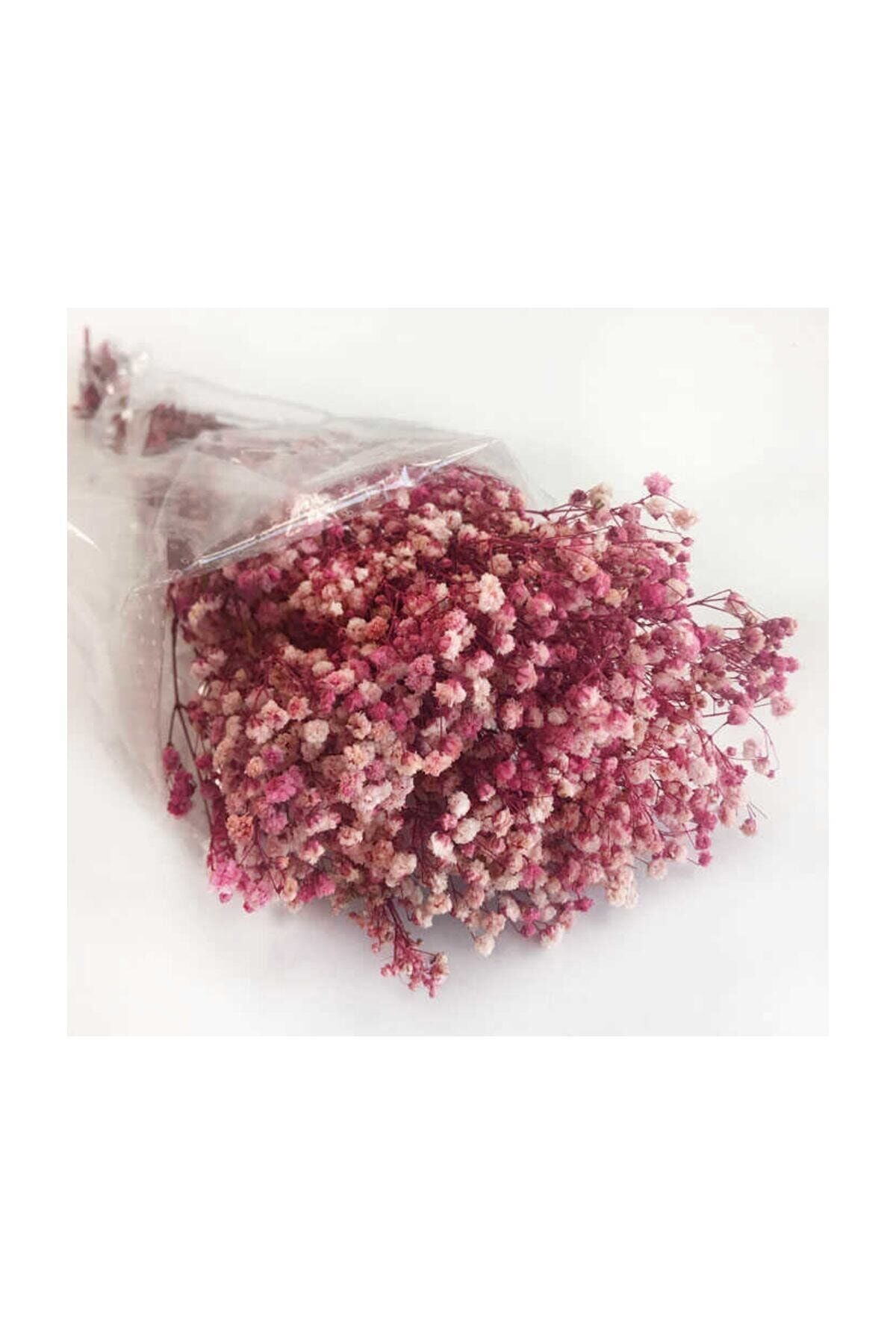 1 Demet Doğal Cipso Çiçek Kırmızı ( 18 Cm * 40 Cm ) ( 50 gram) Parti Süslemeleri Pembe